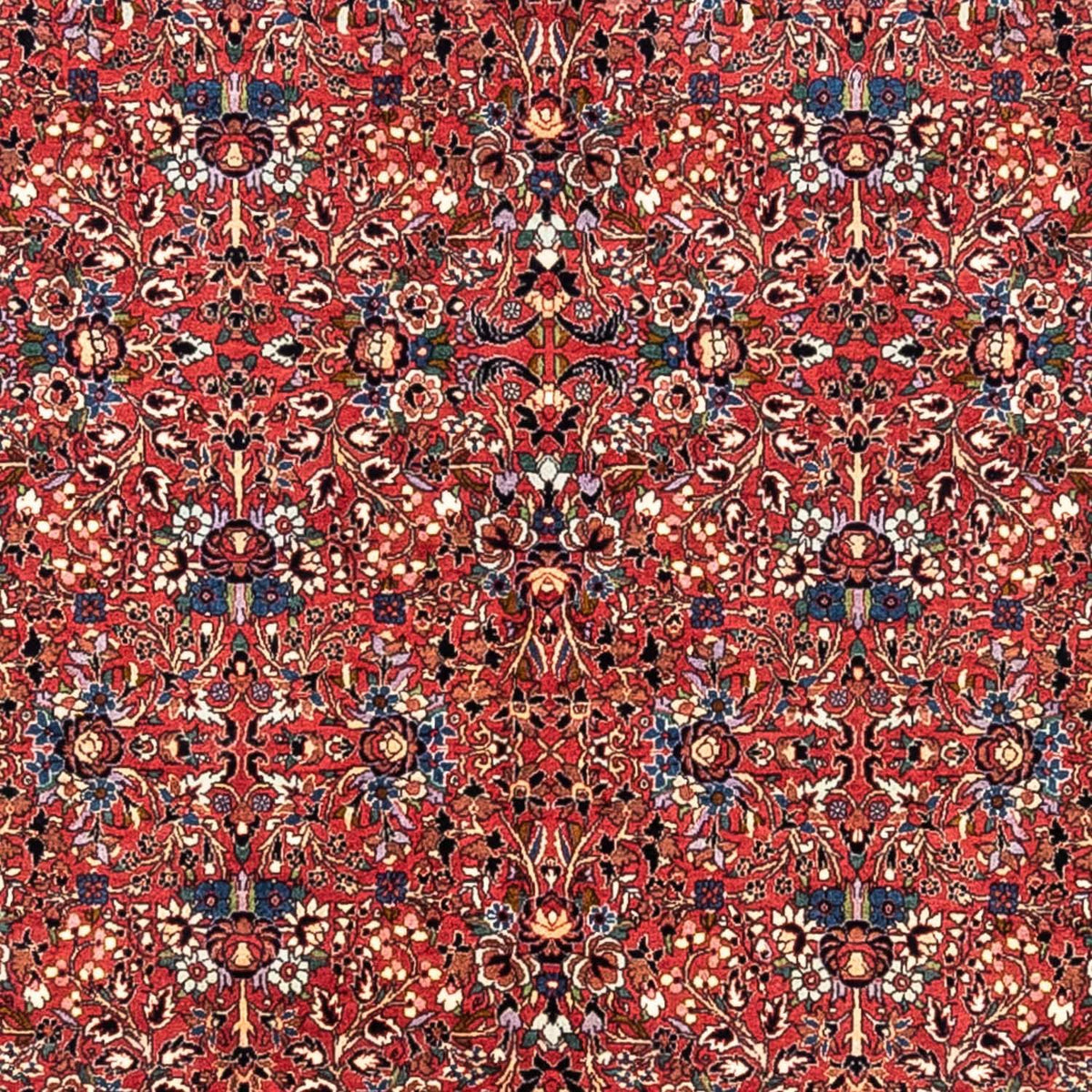 Tappeto Persero - Tabriz - Reale - 346 x 250 cm - rosso
