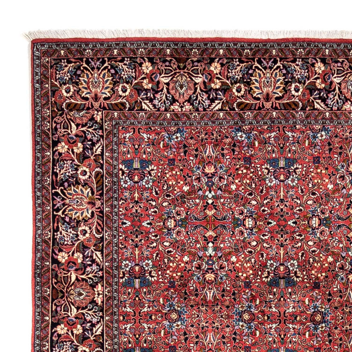 Tappeto Persero - Tabriz - Reale - 346 x 250 cm - rosso