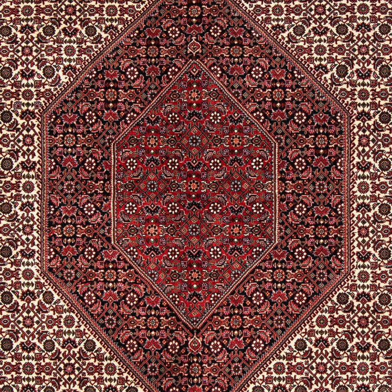 Tappeto Persero - Bidjar - 251 x 171 cm - rosso scuro