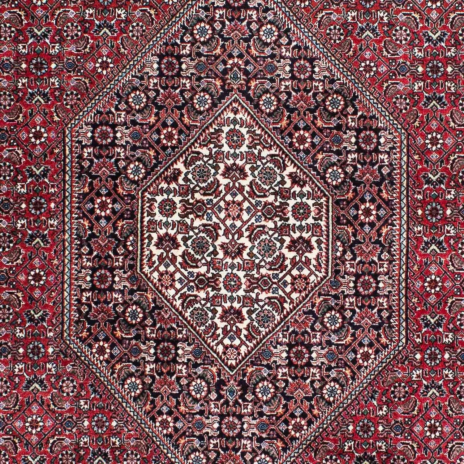 Tappeto Persero - Bidjar - 209 x 128 cm - rosso