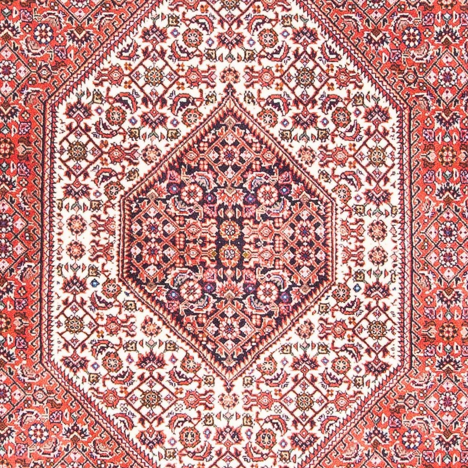 Tappeto Persero - Bidjar - 175 x 110 cm - rosso chiaro