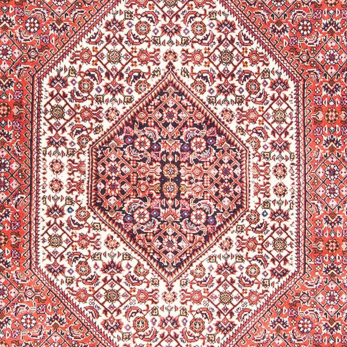 Tappeto Persero - Bidjar - 175 x 110 cm - rosso chiaro
