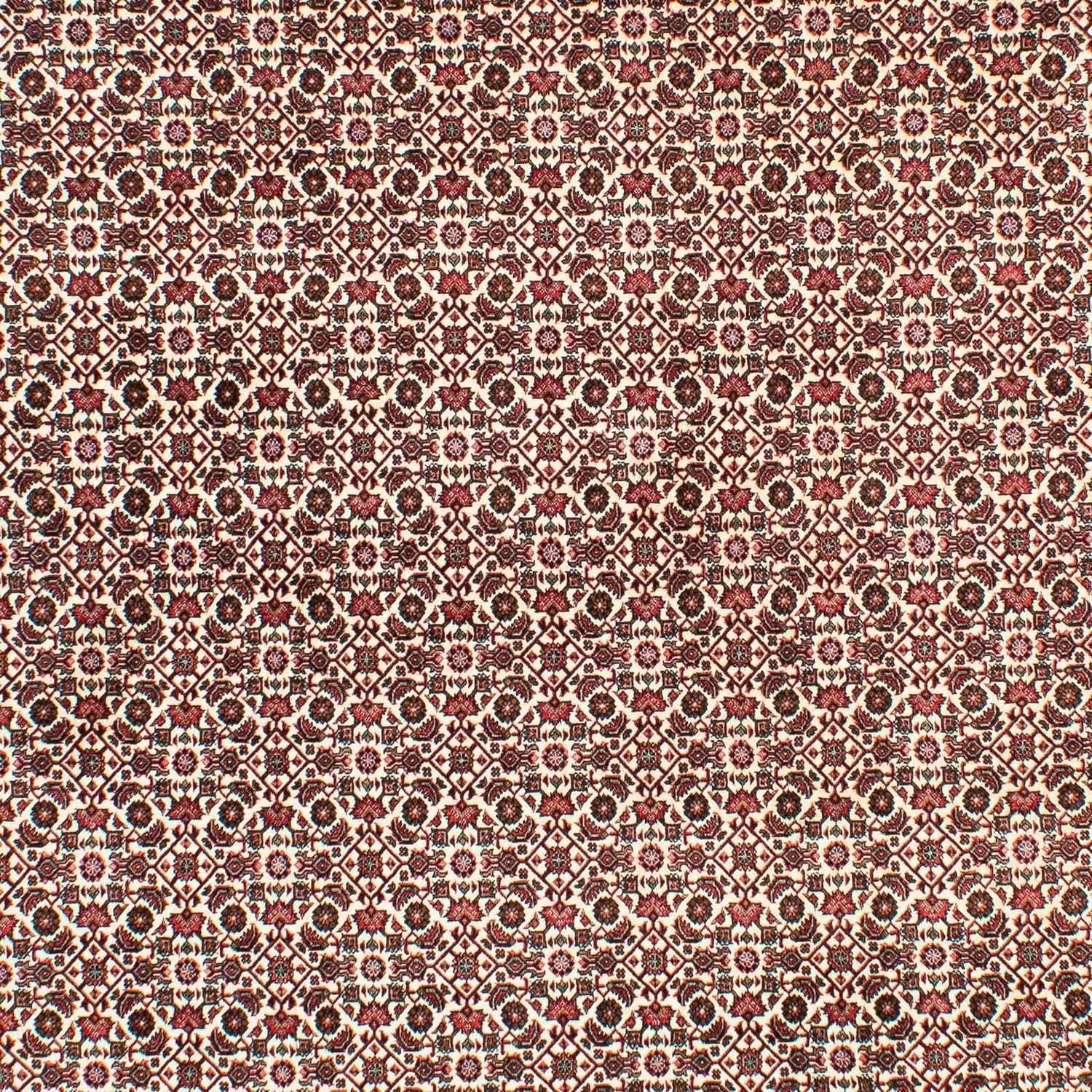 Tappeto Persero - Bidjar - 294 x 200 cm - beige