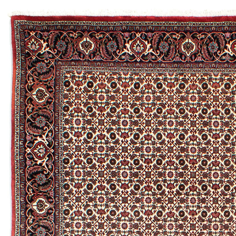Tappeto Persero - Bidjar - 294 x 200 cm - beige