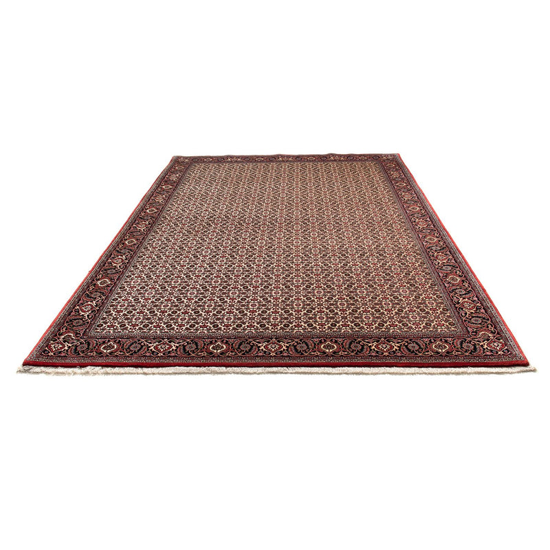 Tappeto Persero - Bidjar - 294 x 200 cm - beige