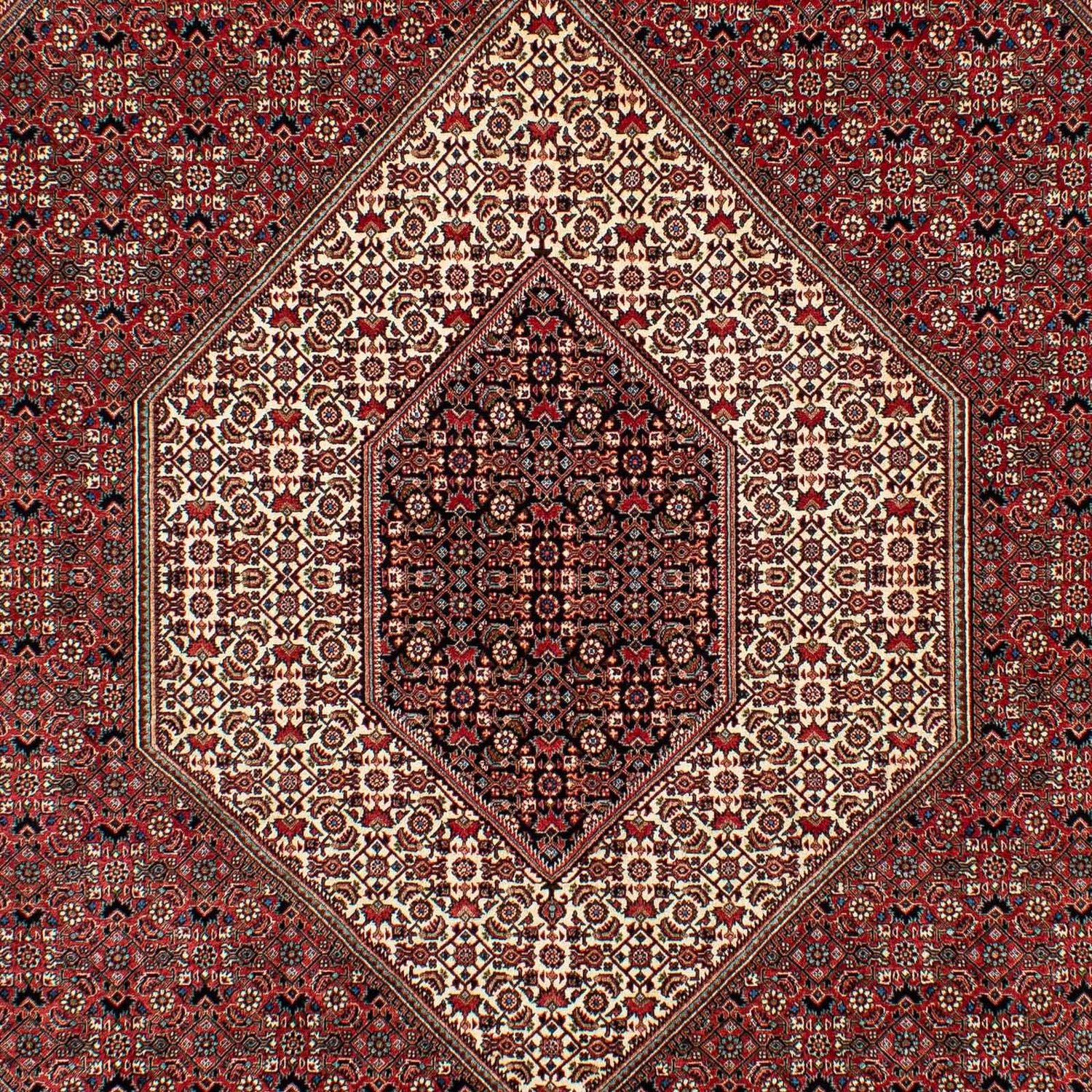 Tappeto Persero - Bidjar - 305 x 203 cm - rosso scuro