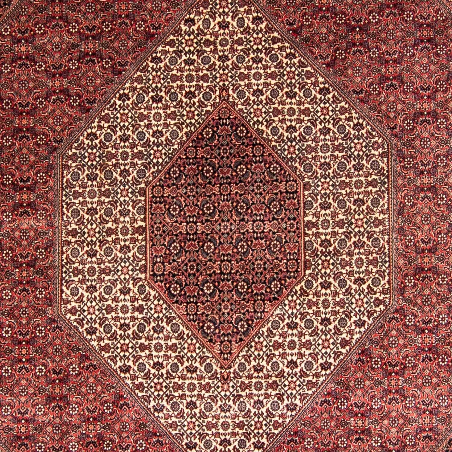 Tappeto Persero - Bidjar - 340 x 252 cm - rosso chiaro