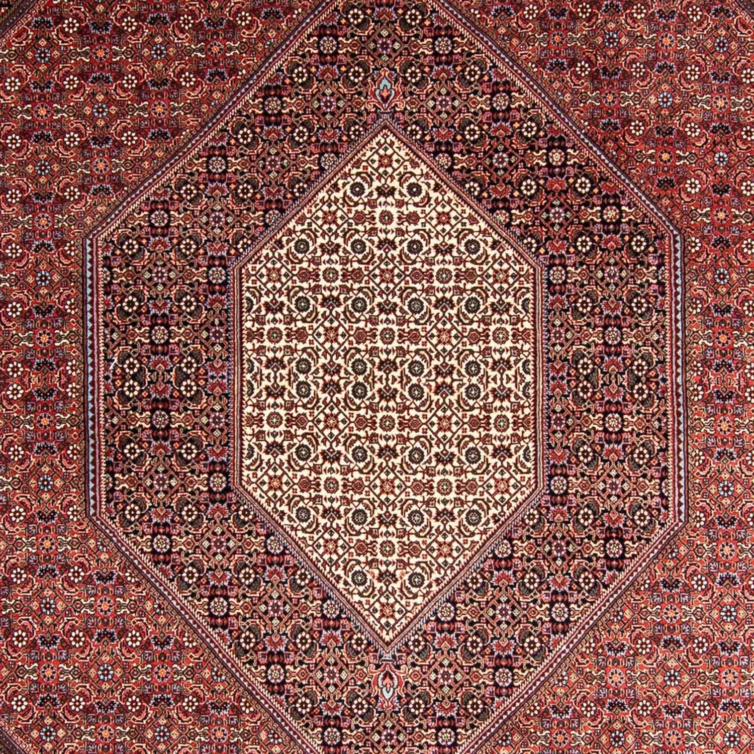Tappeto Persero - Bidjar - 358 x 255 cm - rosso chiaro