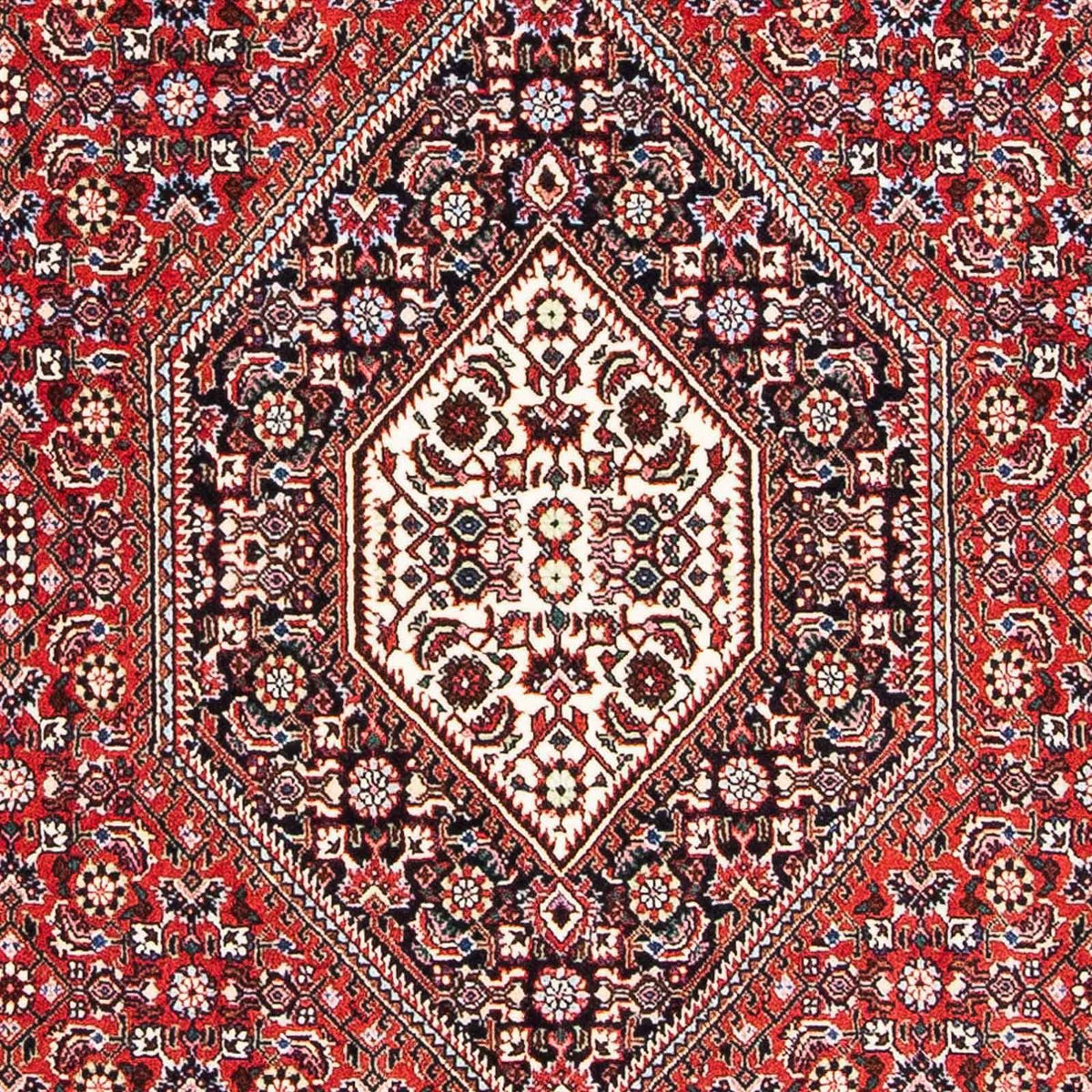 Tappeto Persero - Bidjar - 173 x 111 cm - rosso chiaro