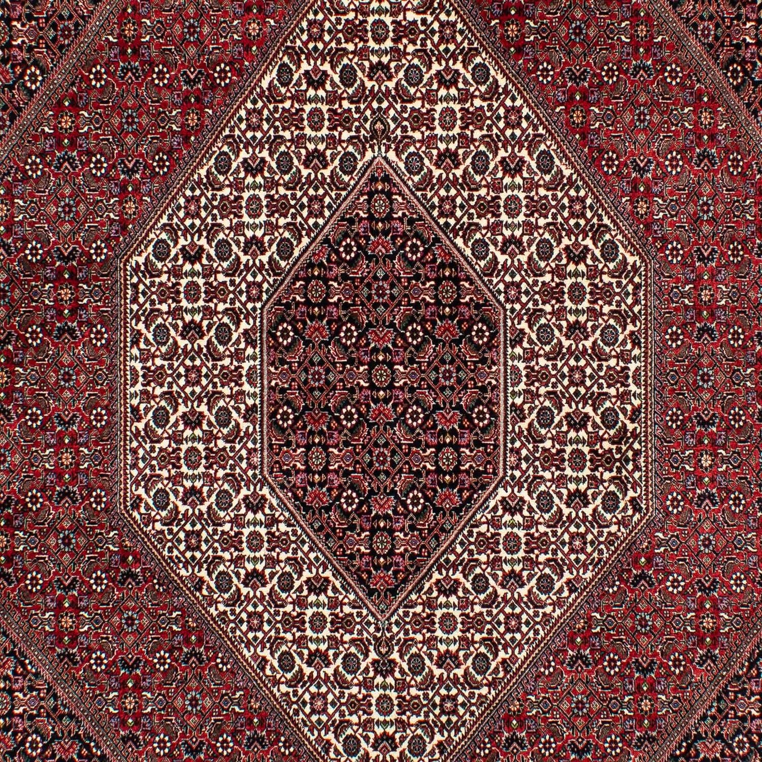 Tappeto Persero - Bidjar - 305 x 203 cm - rosso scuro