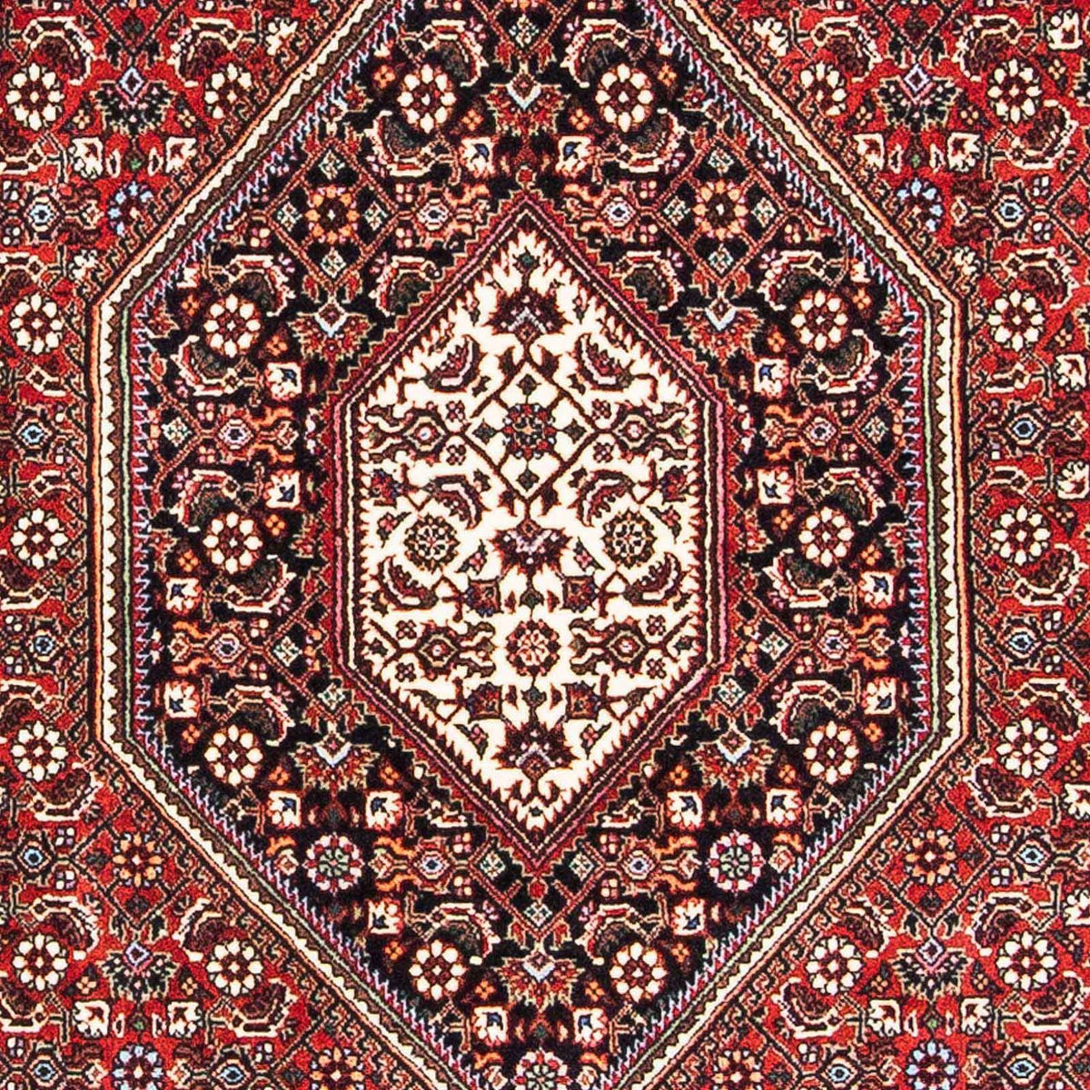 Tappeto Persero - Bidjar - 182 x 109 cm - rosso