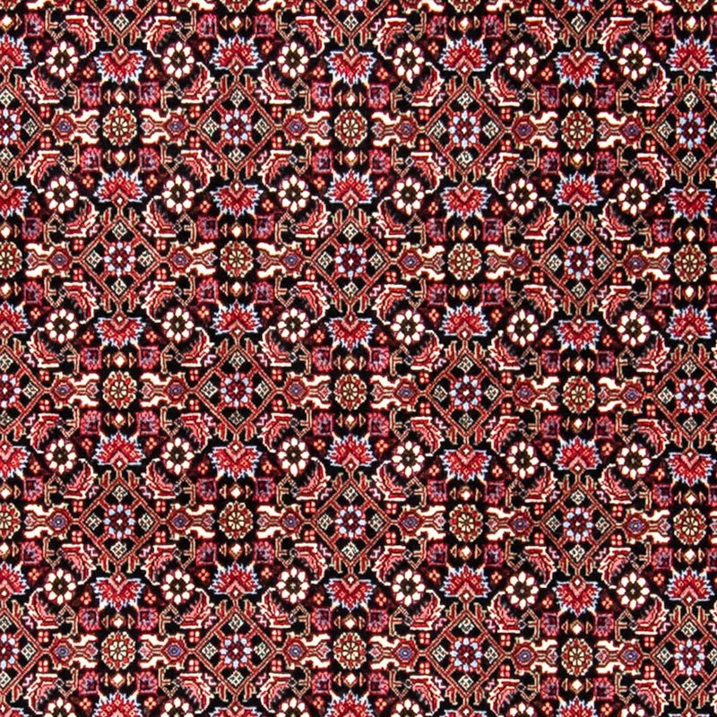 Tappeto Persero - Bidjar - 250 x 168 cm - rosso