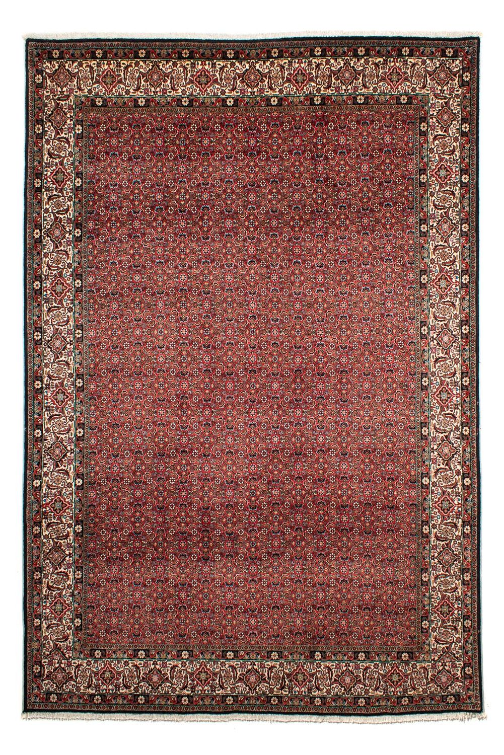 Tappeto Persero - Bidjar - 307 x 208 cm - rosso scuro