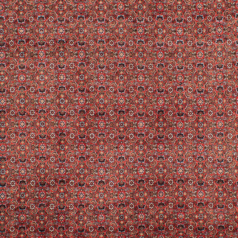 Tappeto Persero - Bidjar - 307 x 208 cm - rosso scuro