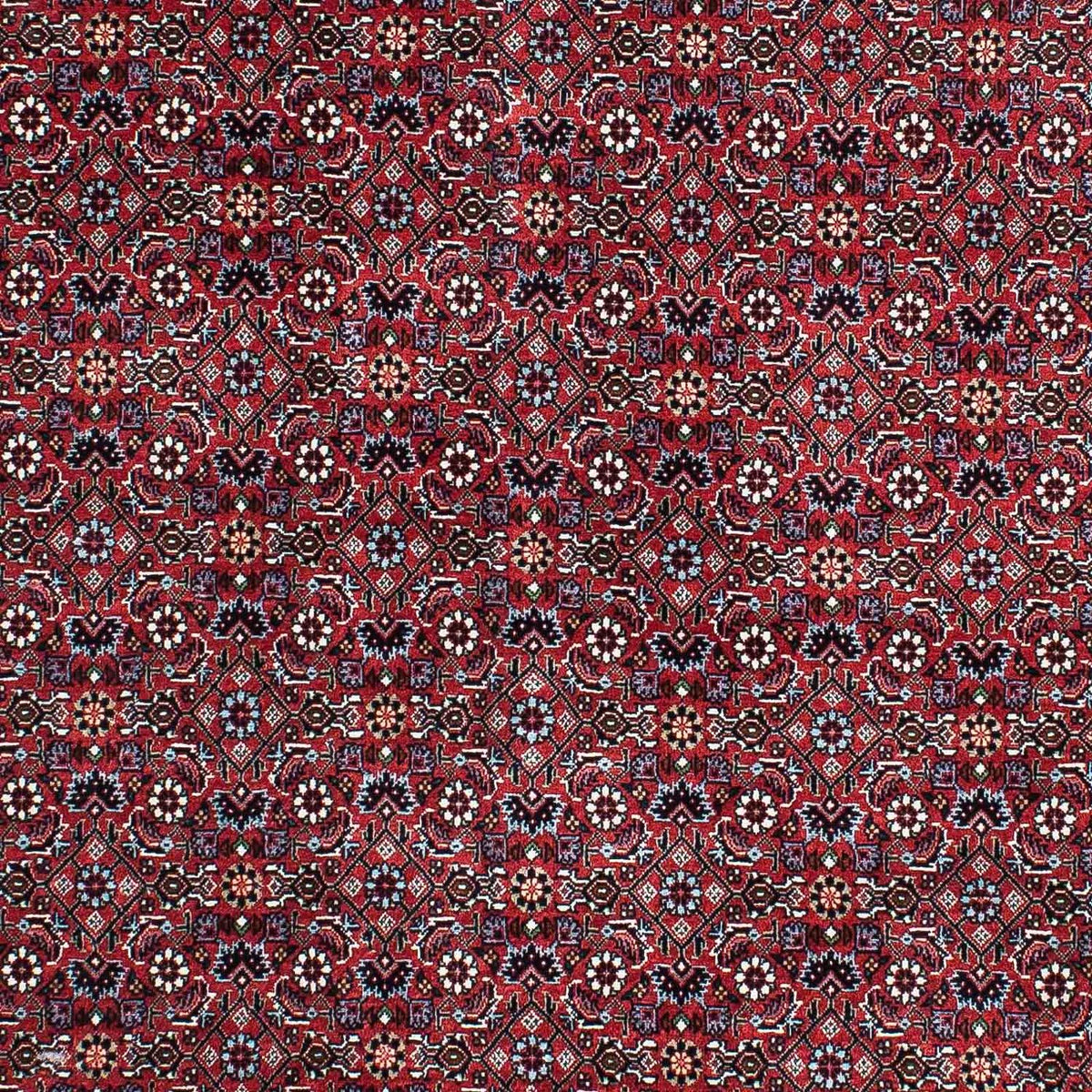 Tappeto Persero - Bidjar - 202 x 132 cm - rosso
