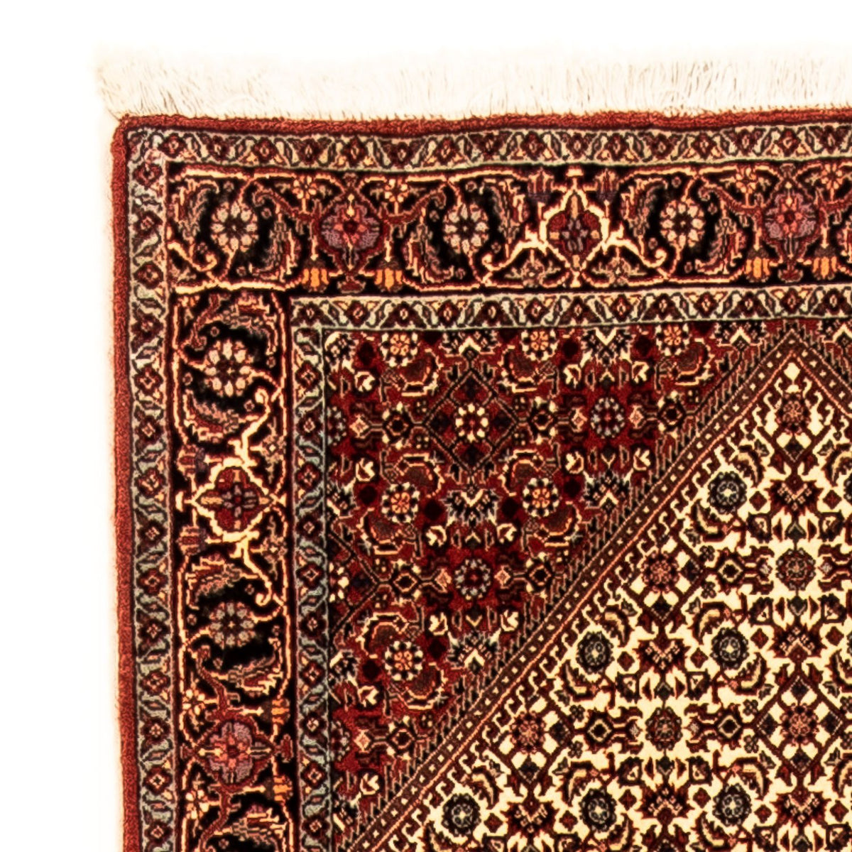 Tappeto corsia Tappeto Persero - Bidjar - 308 x 85 cm - multicolore