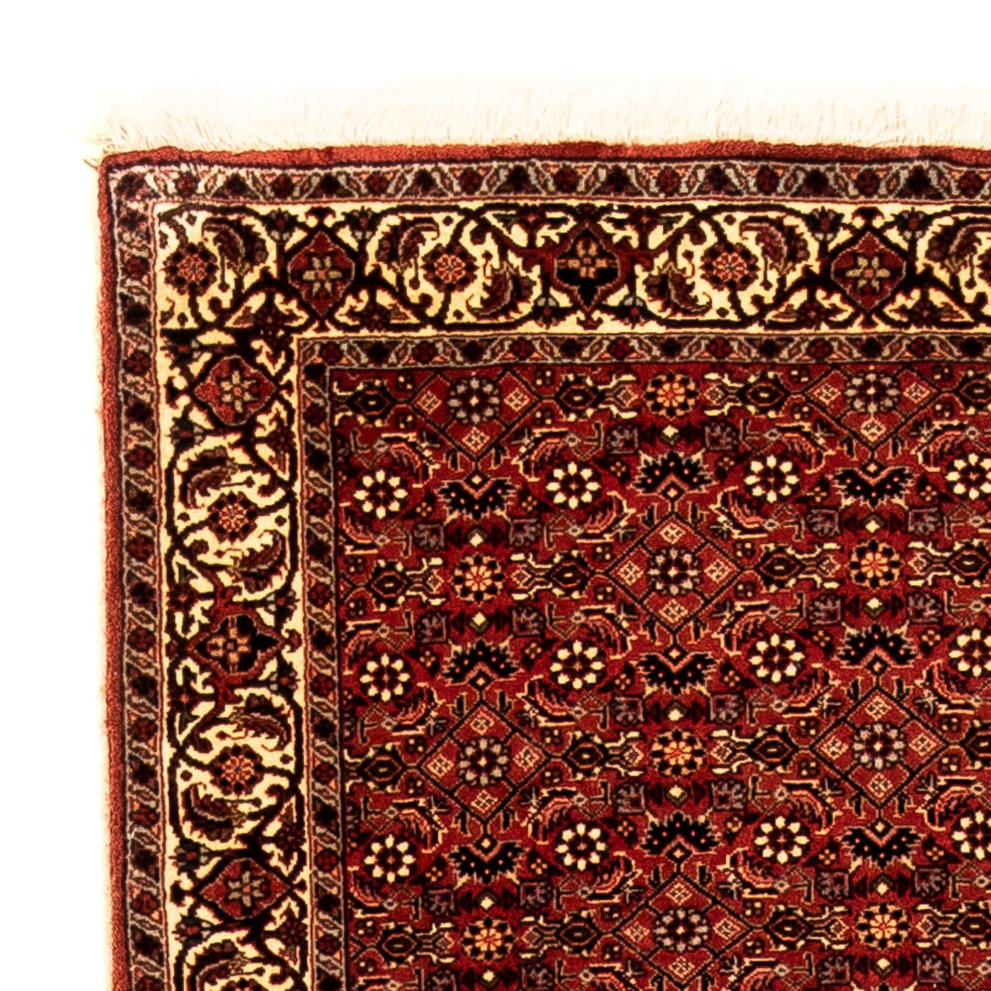 Bidjar Tappeto 293x84cm - Tappeto persiano