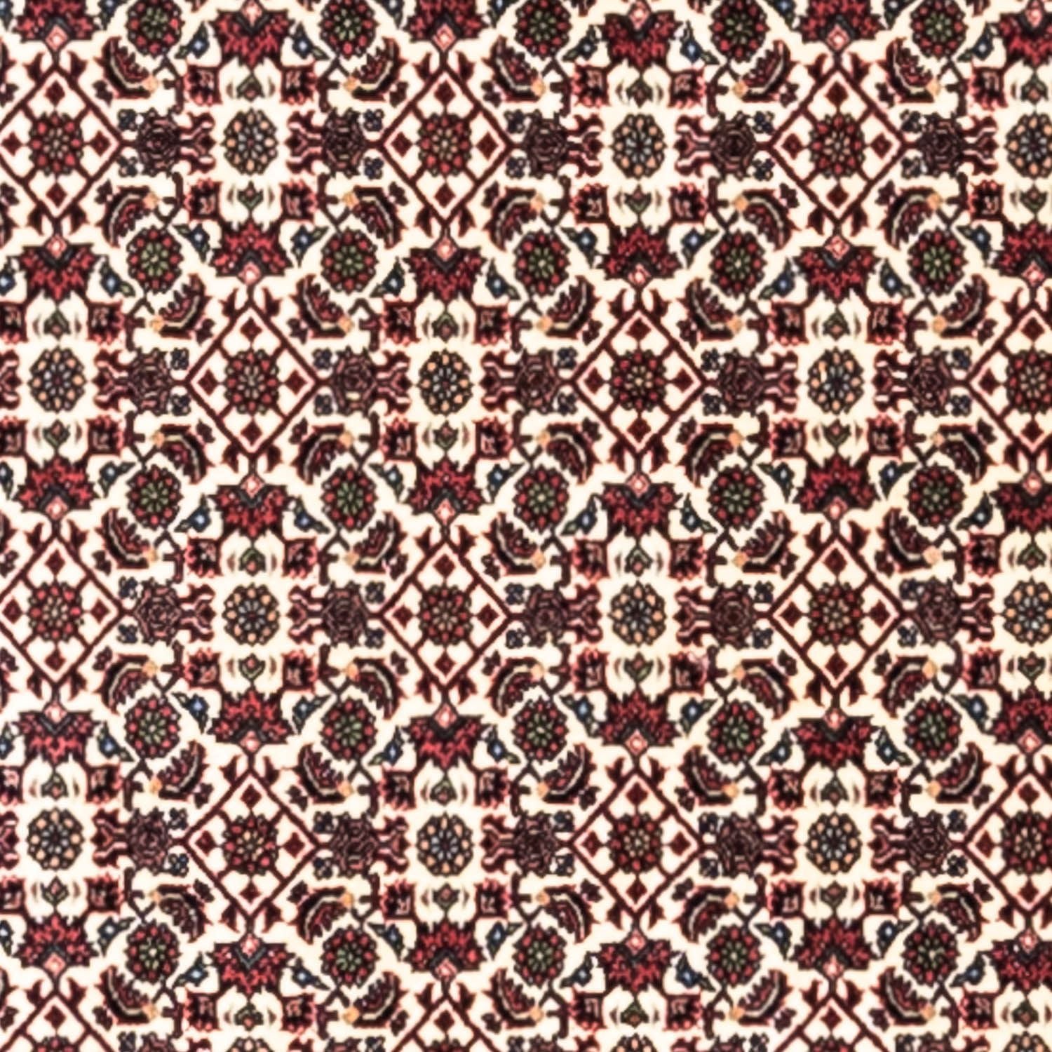 Tappeto Persero - Bidjar - 296 x 204 cm - beige