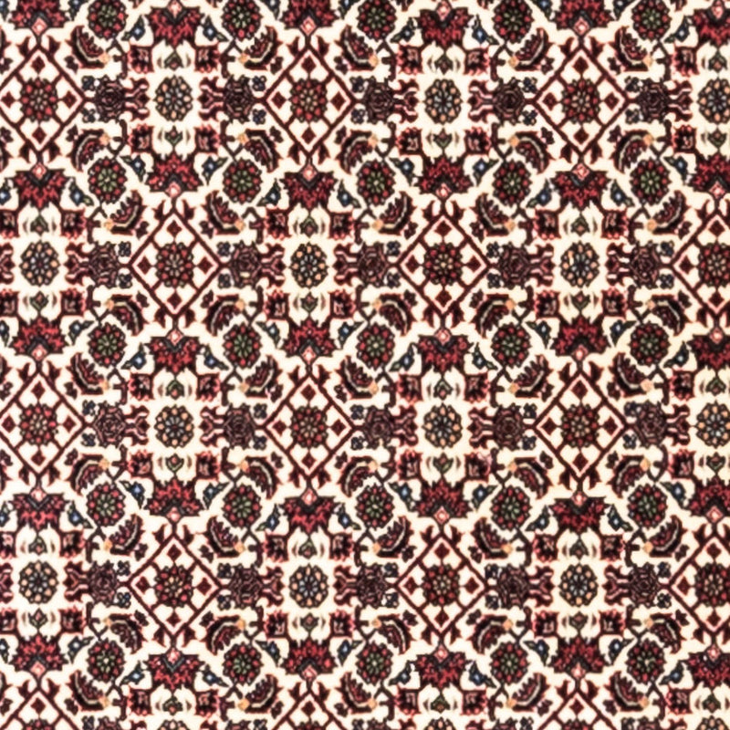 Tappeto Persero - Bidjar - 296 x 204 cm - beige