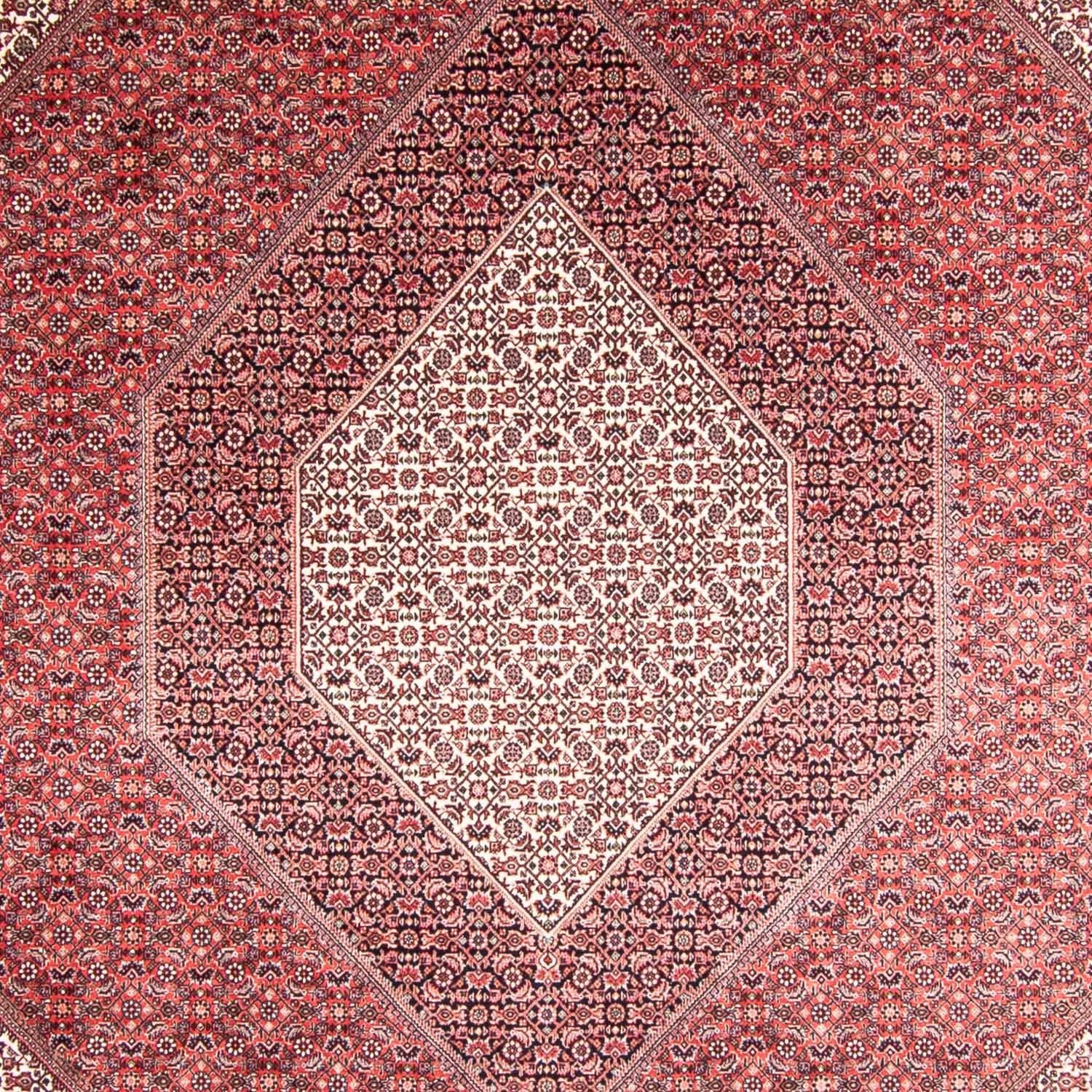 Tappeto Persero - Bidjar - 355 x 248 cm - rosso chiaro