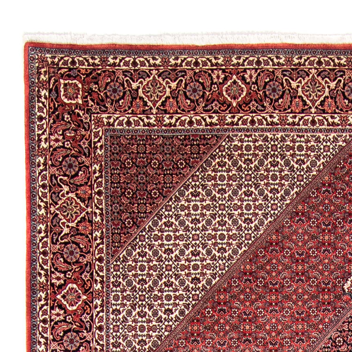 Bidjar Tappeto 248x355cm - Tappeto persiano