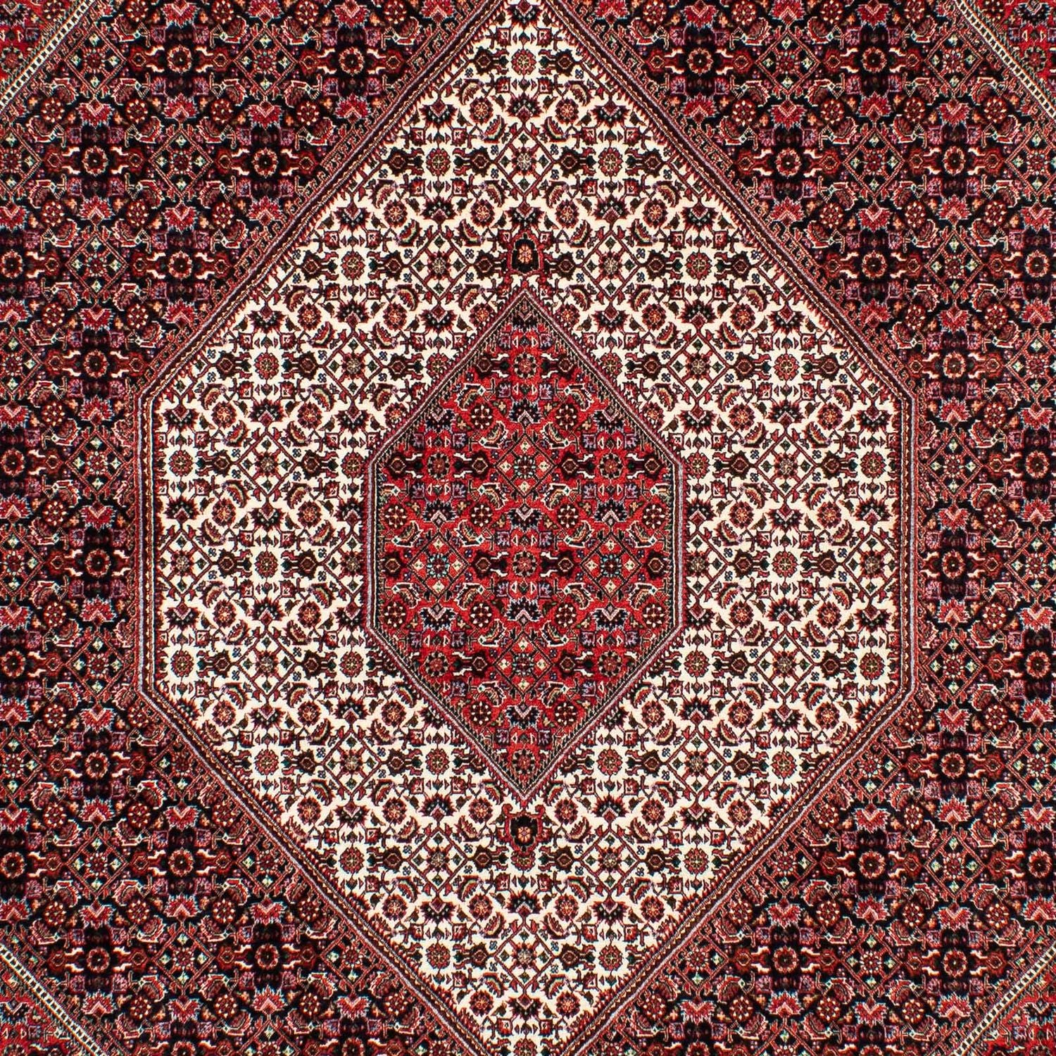 Tappeto Persero - Bidjar - 308 x 202 cm - rosso chiaro