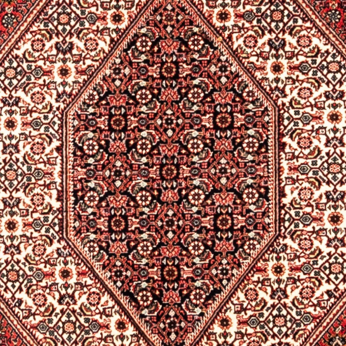 Tappeto Persero - Bidjar - 285 x 195 cm - rosso
