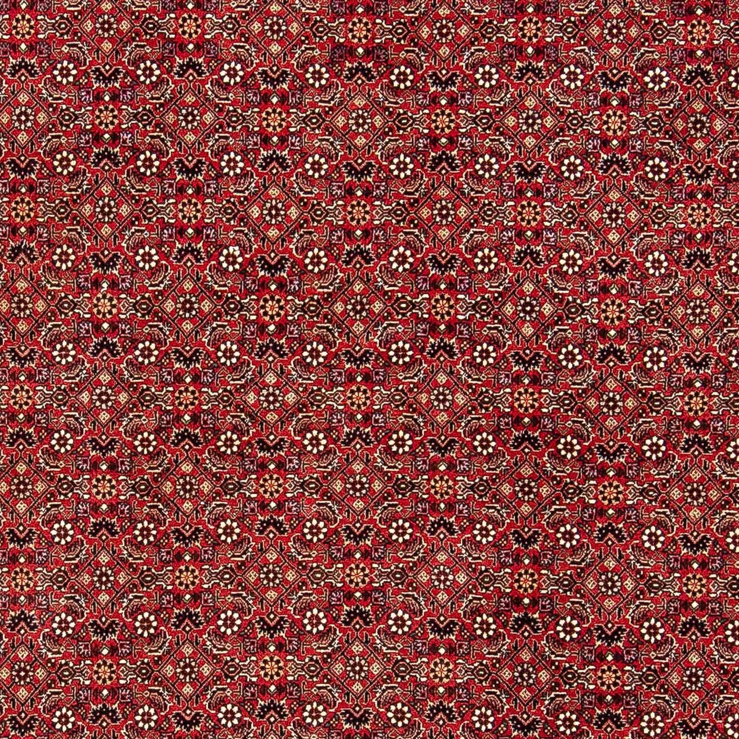 Tappeto Persero - Bidjar - 248 x 174 cm - rosso