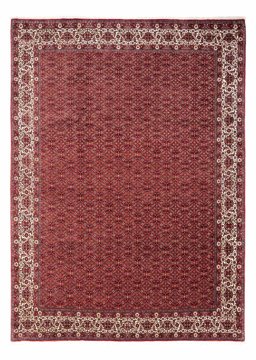 Tappeto Persero - Bidjar - 340 x 252 cm - rosso