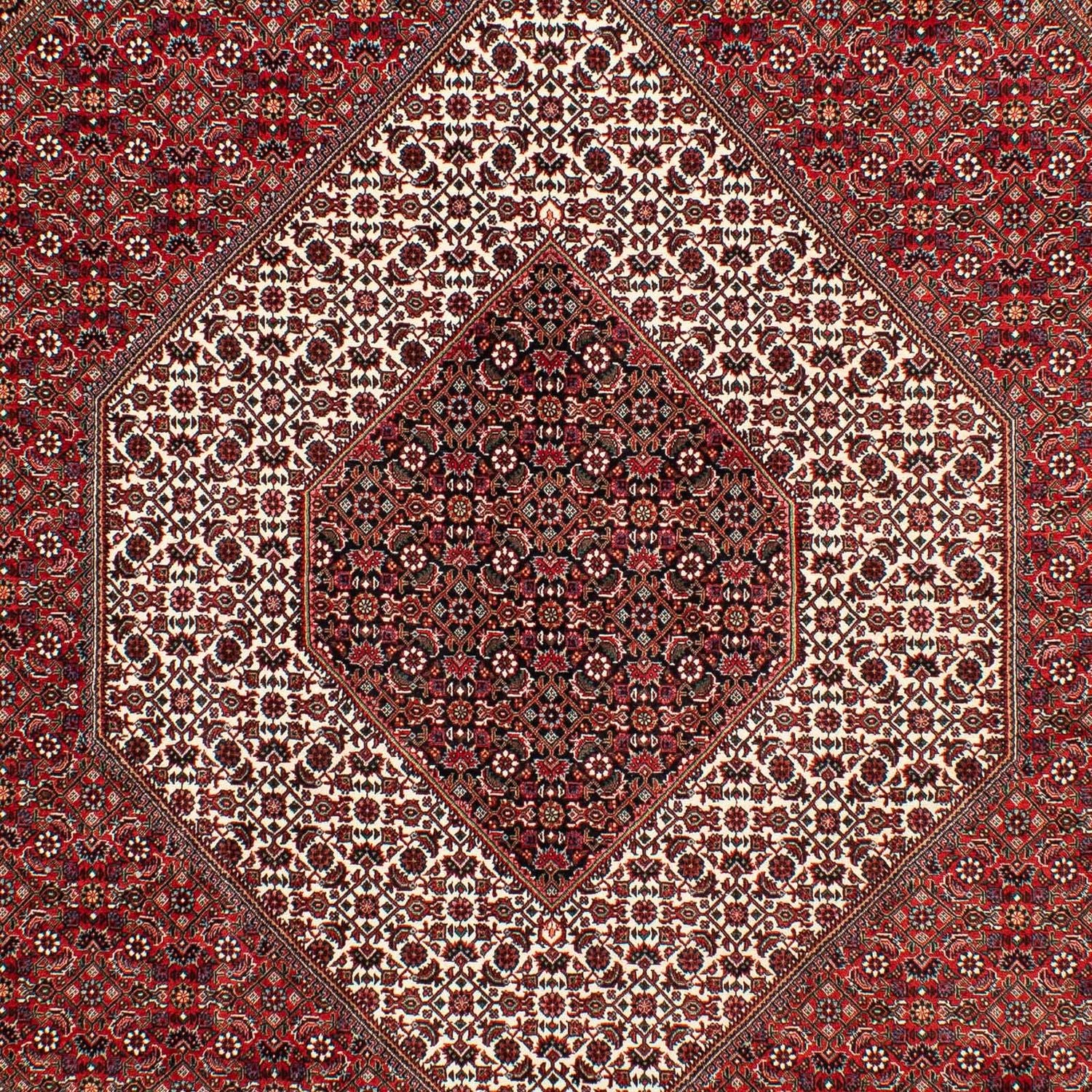 Tappeto Persero - Bidjar - 302 x 203 cm - rosso scuro