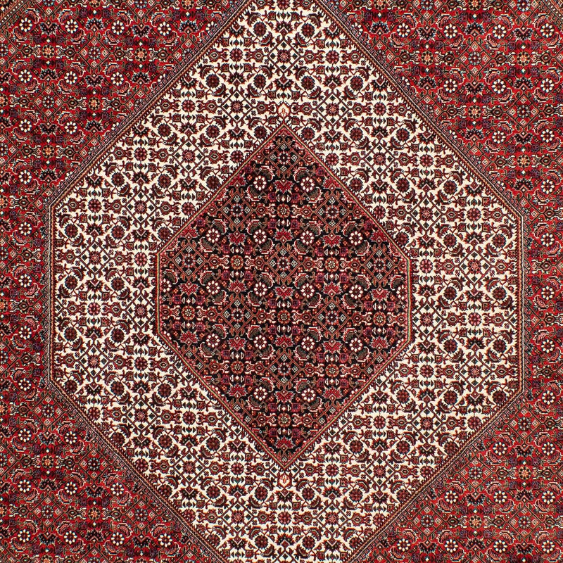 Tappeto Persero - Bidjar - 302 x 203 cm - rosso scuro
