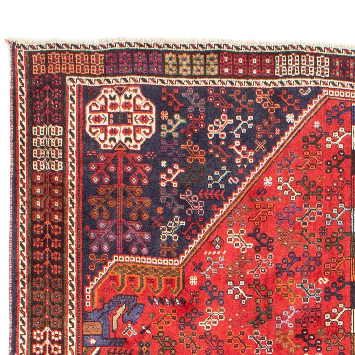 Qashqai Tappeto 200x278cm - Tappeto persiano