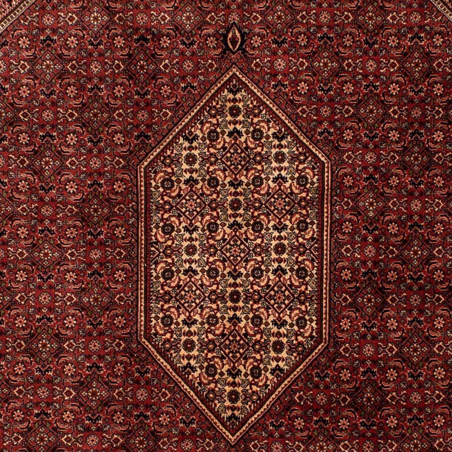Tappeto Persero - Bidjar - 293 x 200 cm - marrone