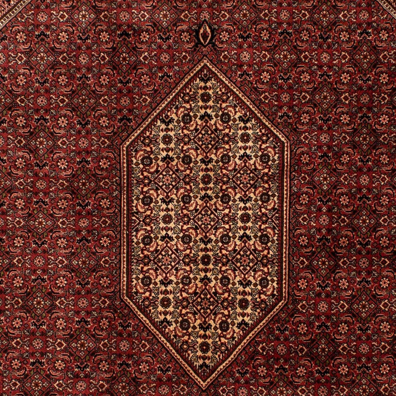 Tappeto Persero - Bidjar - 293 x 200 cm - marrone