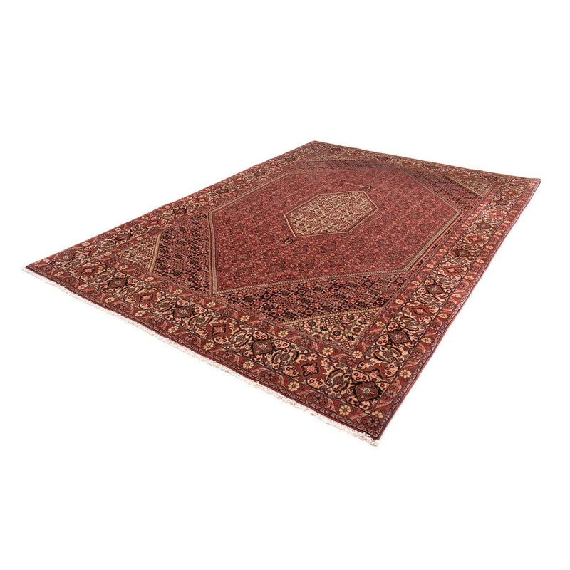 Tappeto Persero - Bidjar - 293 x 200 cm - marrone