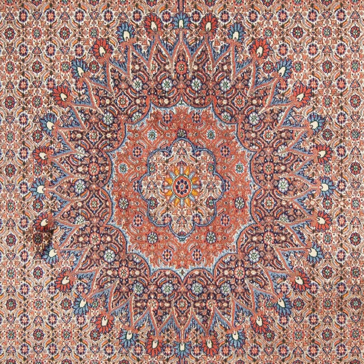 Tappeto Persero - Classico - 293 x 198 cm - rosso chiaro