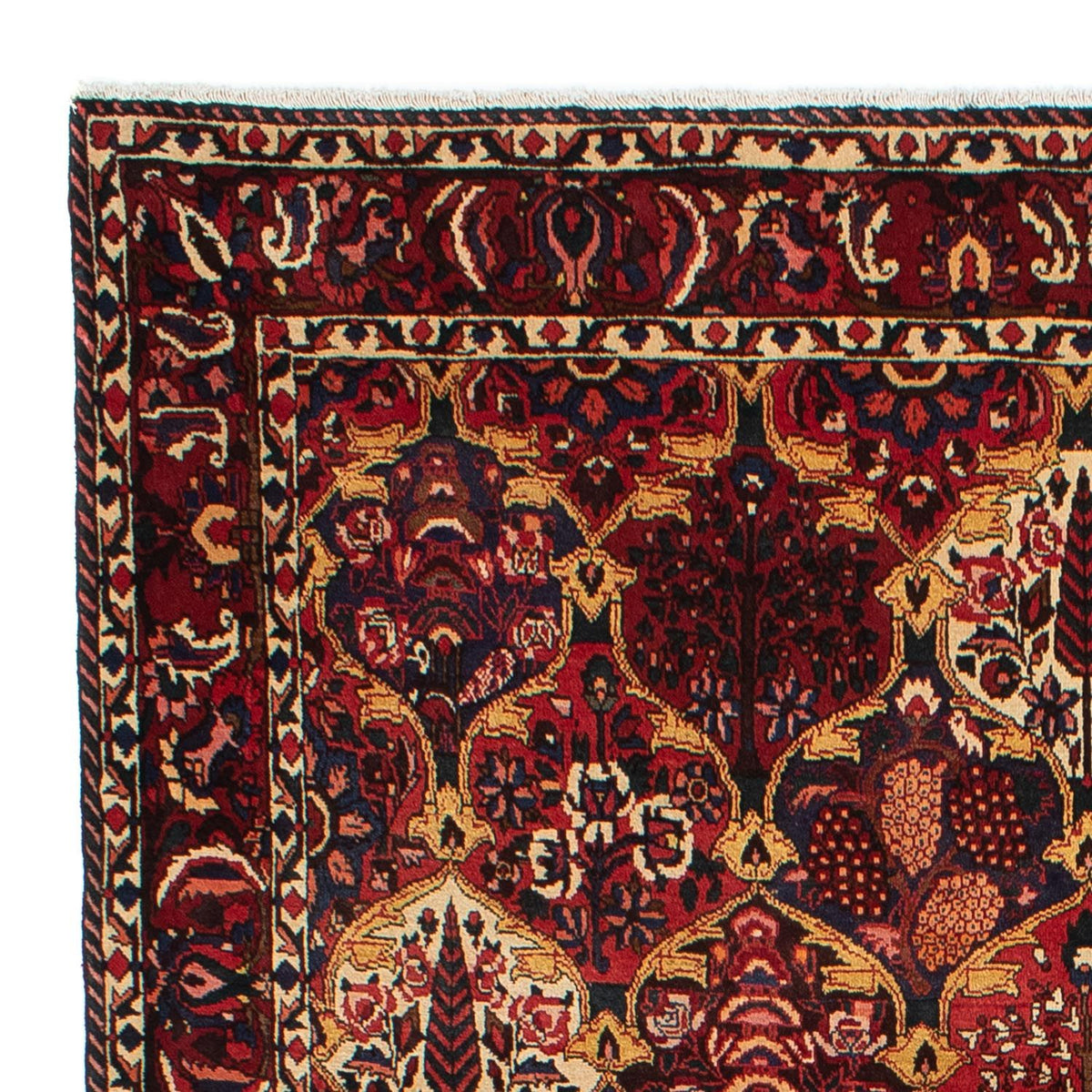 Bakhtiari Tappeto 211x305cm - Tappeto persiano