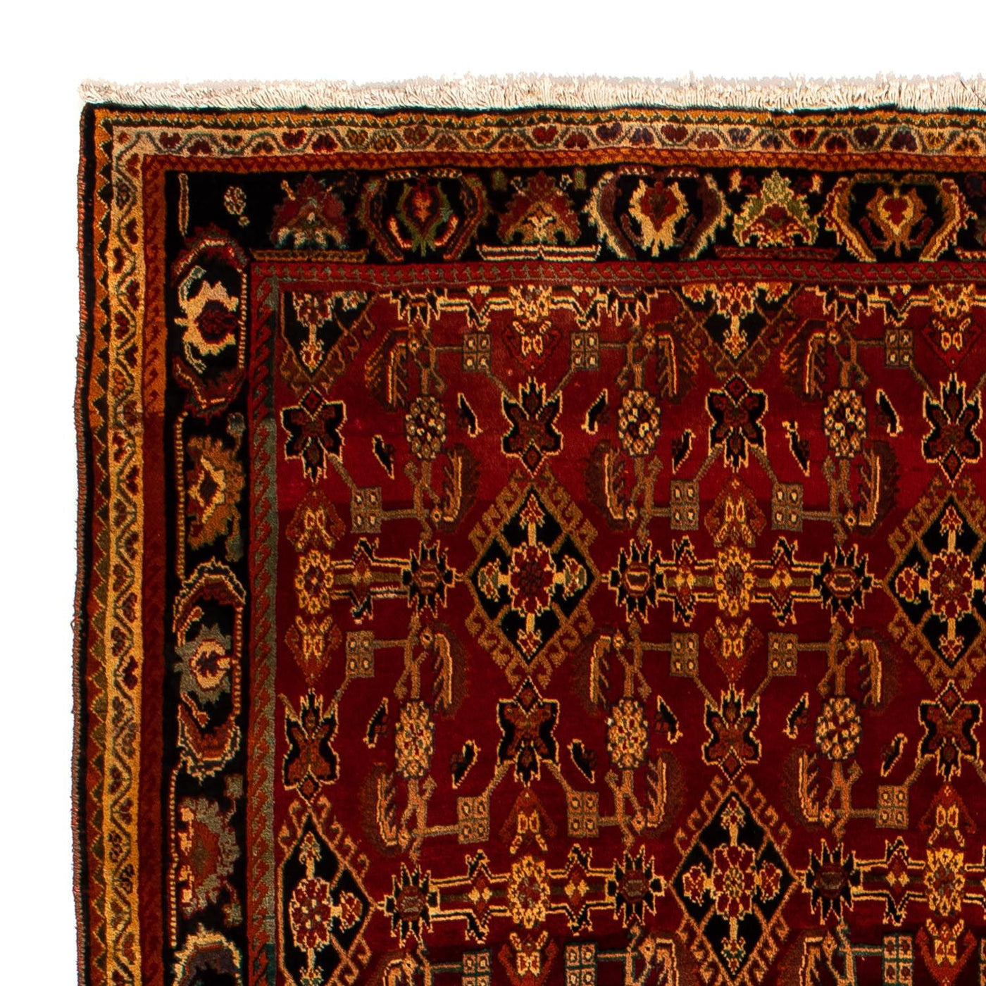 Qashqai Tappeto 308x212cm - Tappeto persiano
