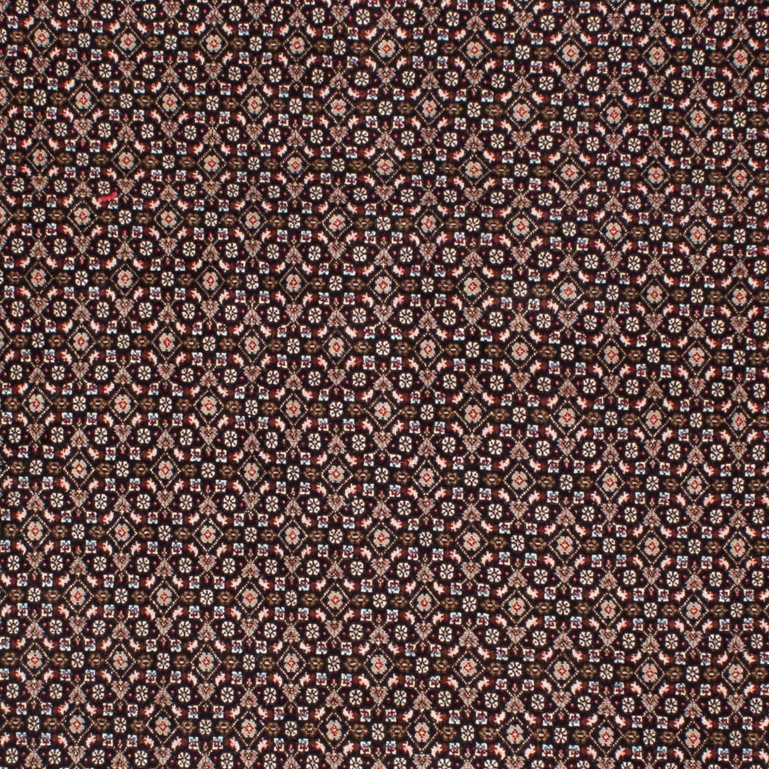 Tappeto Persero - Tabriz - 215 x 151 cm - blu scuro