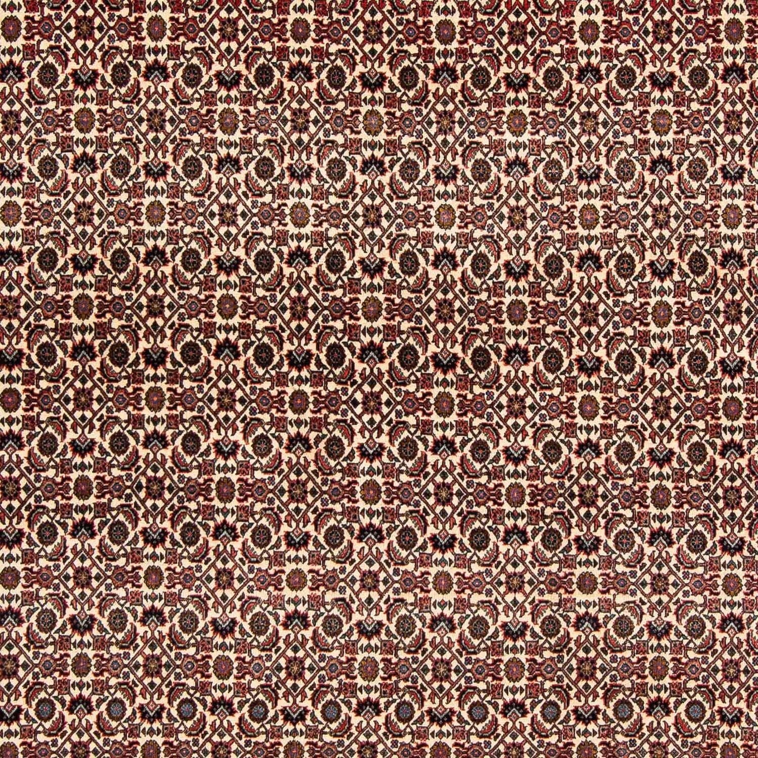 Tappeto Persero - Bidjar quadrato  - 204 x 201 cm - rosso scuro