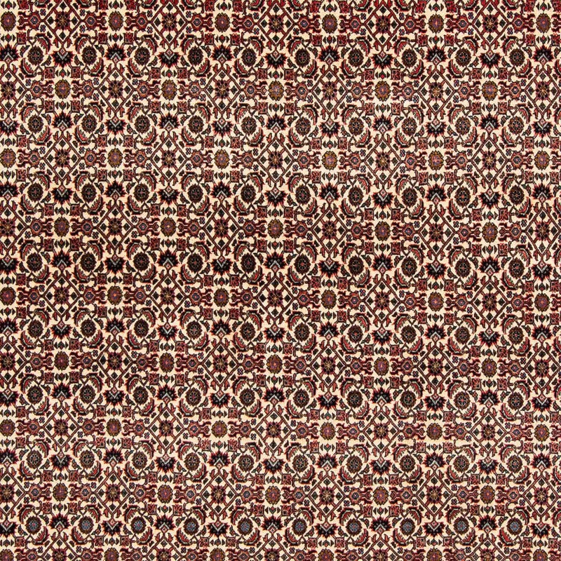 Tappeto Persero - Bidjar quadrato  - 204 x 201 cm - rosso scuro