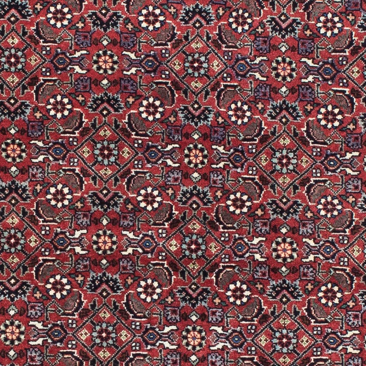 Tappeto Persero - Bidjar - 193 x 176 cm - rosso