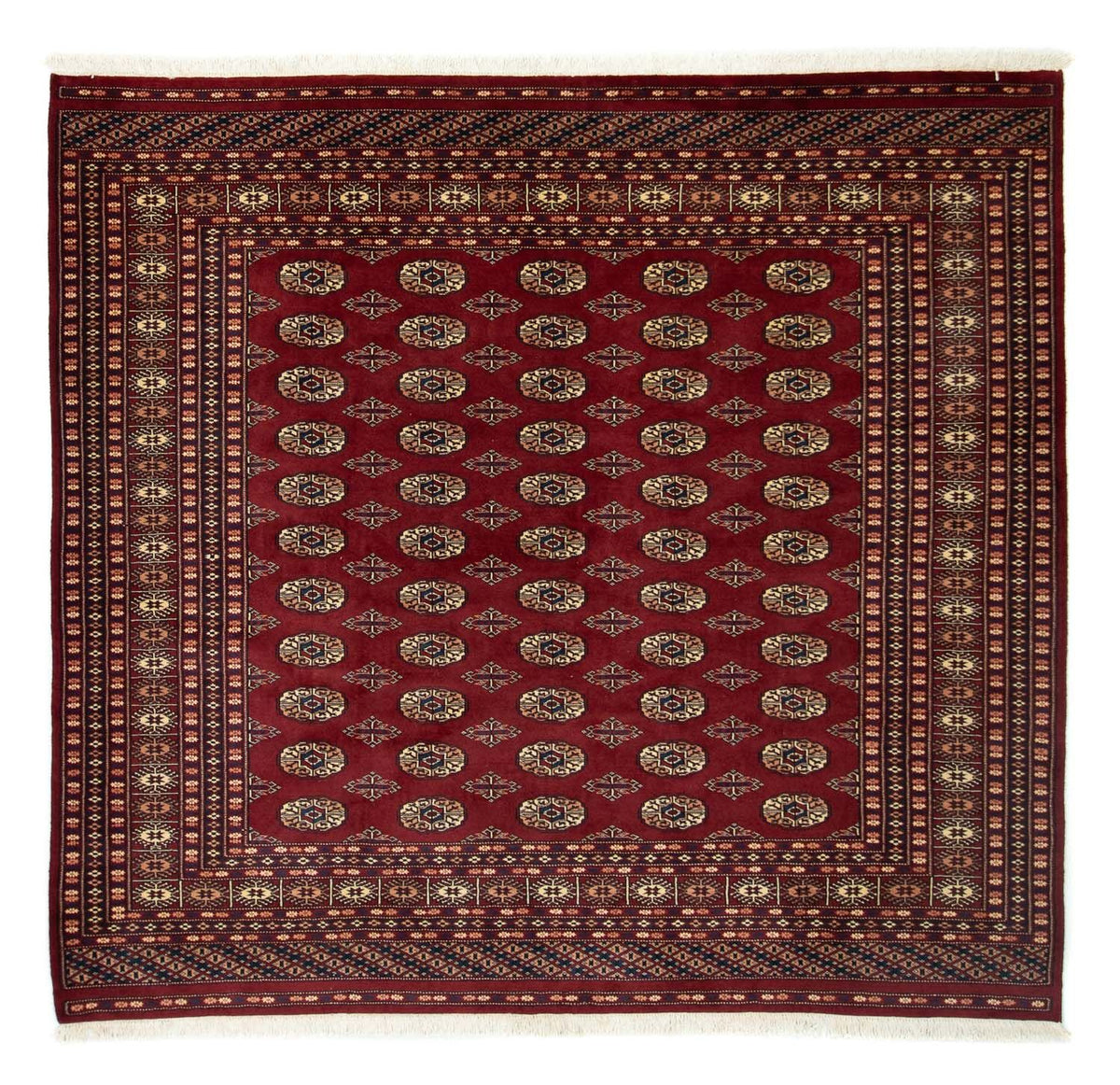 Tappeto afgano - Bukhara quadrato  - 205 x 193 cm - rosso