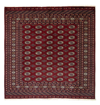 Tappeto afgano - Bukhara quadrato  - 203 x 199 cm - rosso