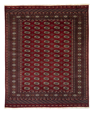 Tappeto afgano - Bukhara - 241 x 197 cm - rosso
