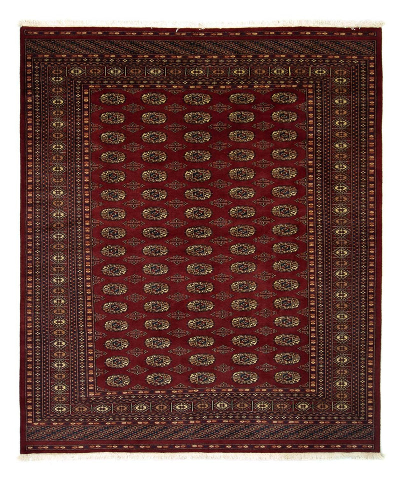 Tappeto afgano - Bukhara - 240 x 203 cm - rosso