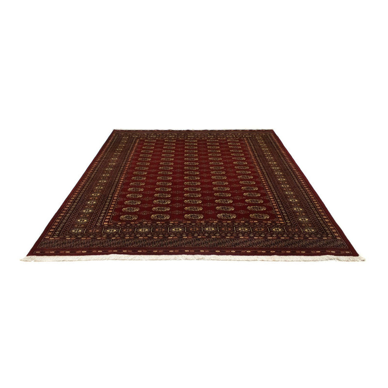 Tappeto afgano - Bukhara - 240 x 203 cm - rosso