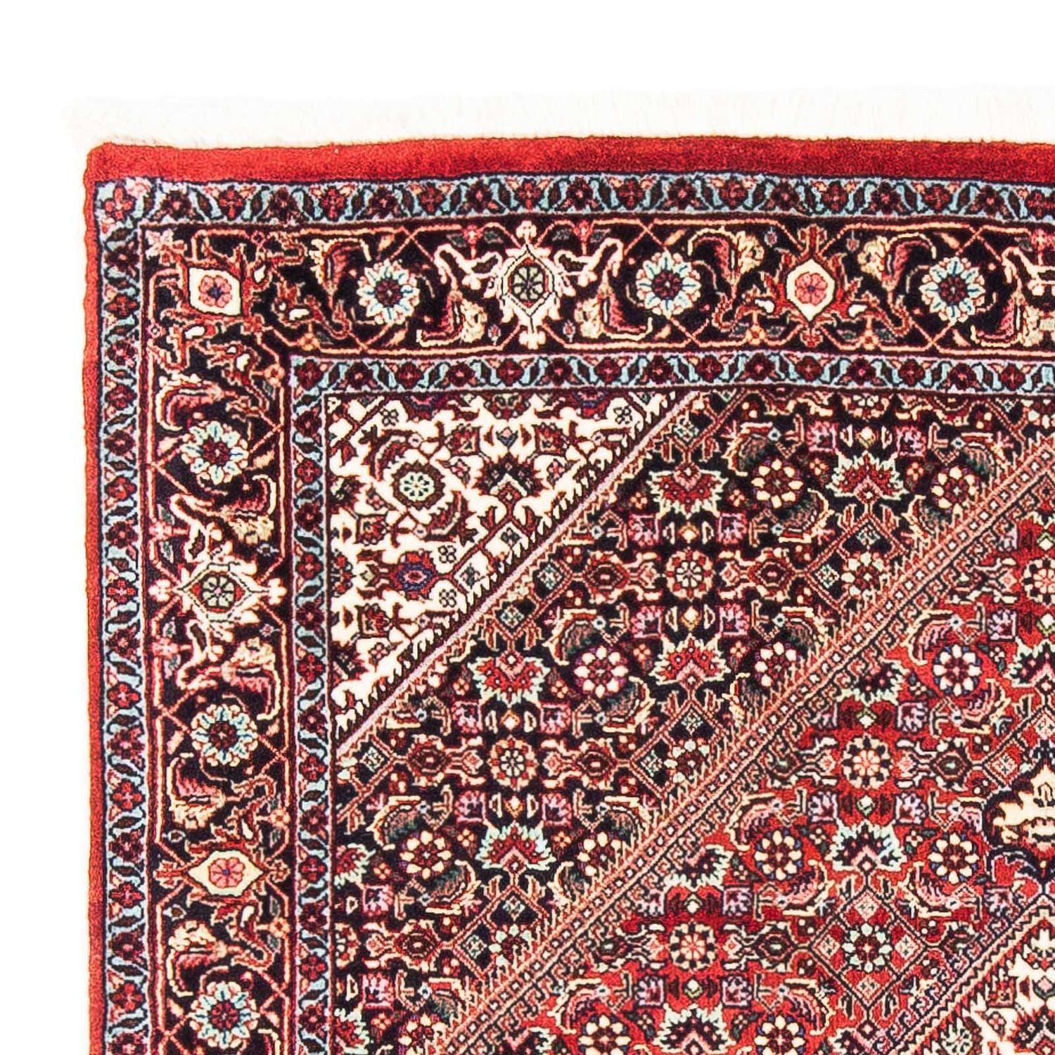 Tappeto Persero - Bidjar - 168 x 110 cm - rosso