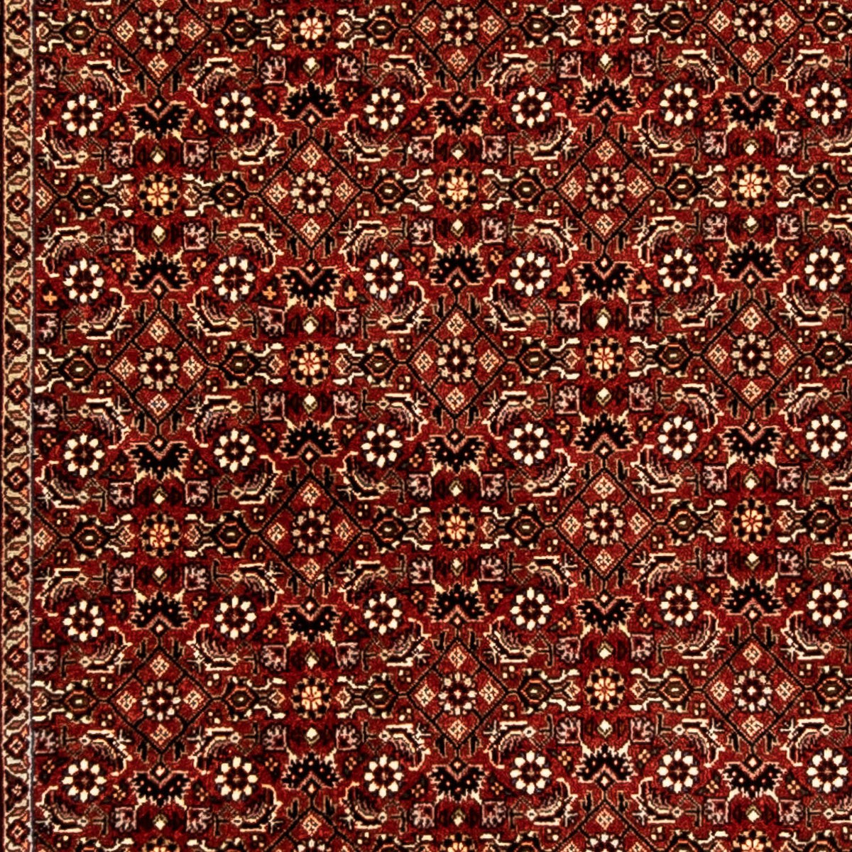 Tappeto corsia Tappeto Persero - Bidjar - 298 x 83 cm - multicolore