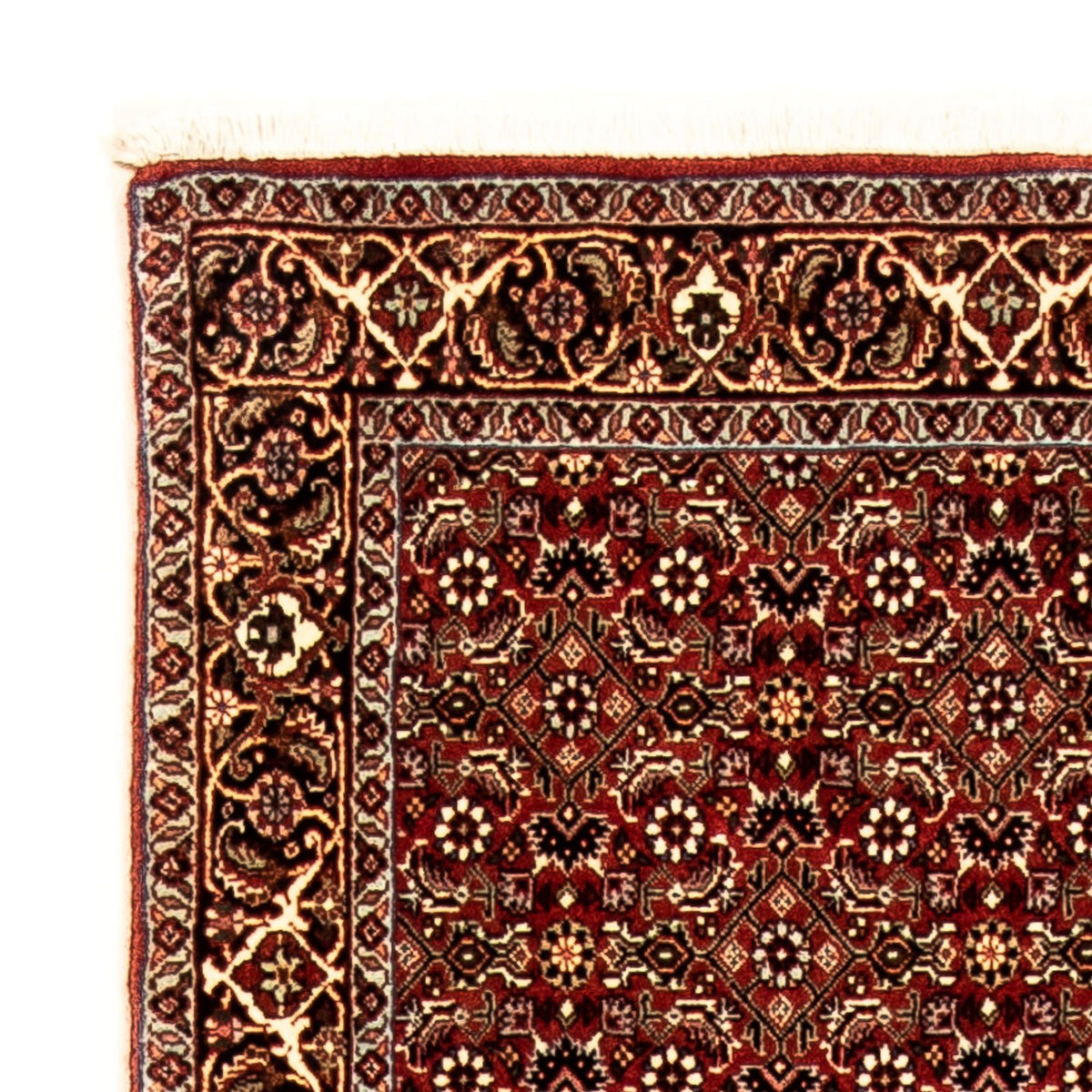 Tappeto corsia Tappeto Persero - Bidjar - 298 x 83 cm - multicolore